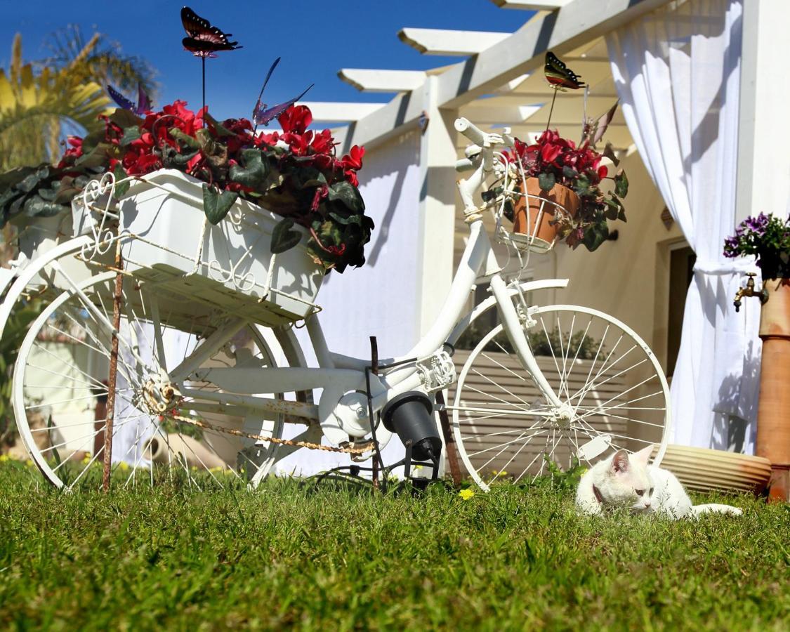 Apartament Oasi Siciliana Terrasini Zewnętrze zdjęcie